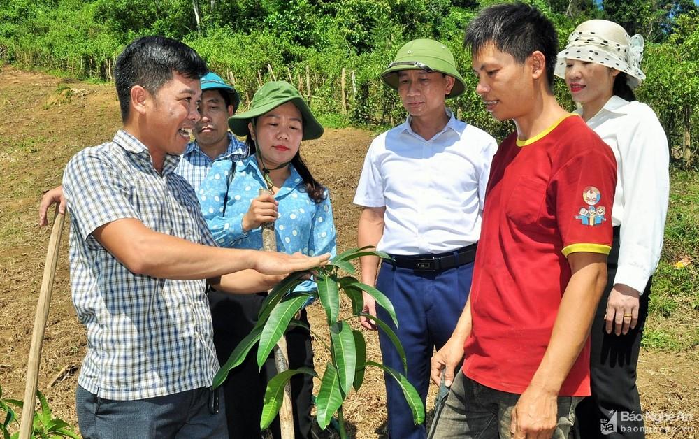 Hỗ trợ 400 giống cây ăn quả tại xã Xiêng My (Tương Dương) ảnh 3