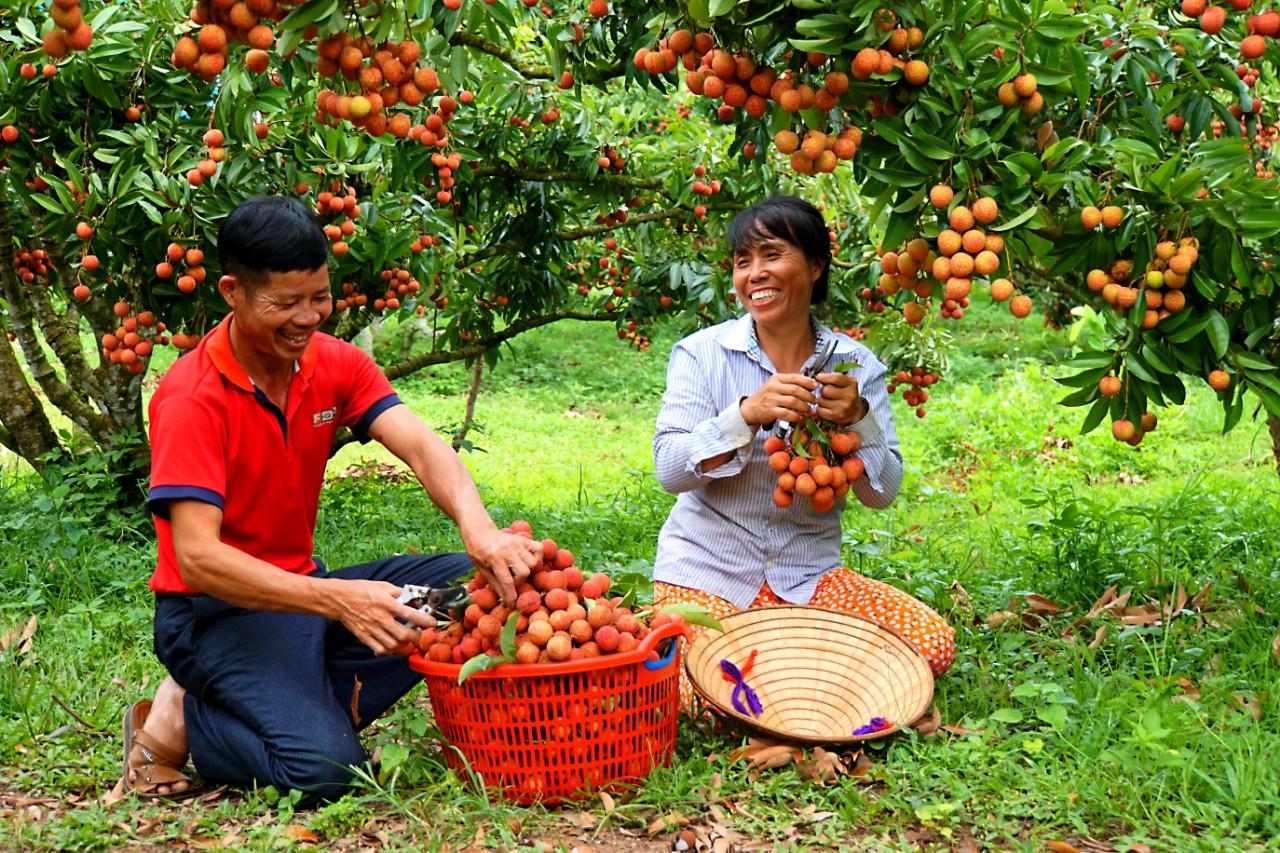 Thủ tướng Chính phủ phê duyệt chương trình du lịch nông thôn giai đoạn 2021 - 2025 - Ảnh 2.