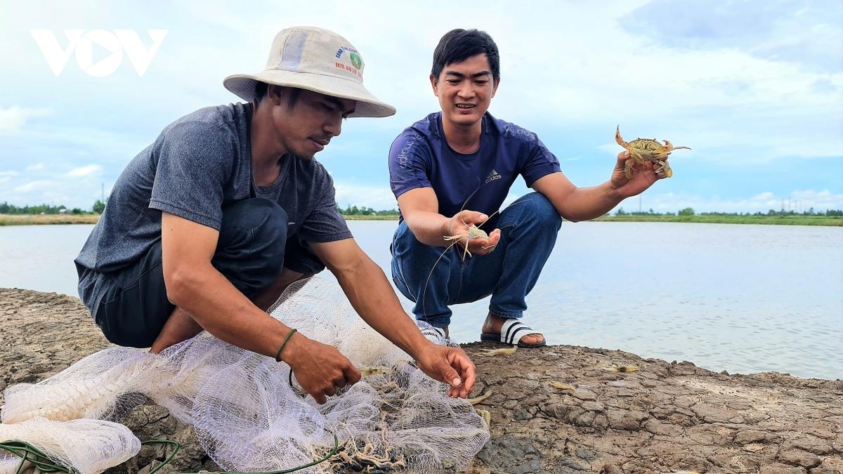 Học nghề nuôi tôm cua, nông dân Cà Mau tăng thu nhập gấp đôi so với cách nuôi truyền thống - Ảnh 1.