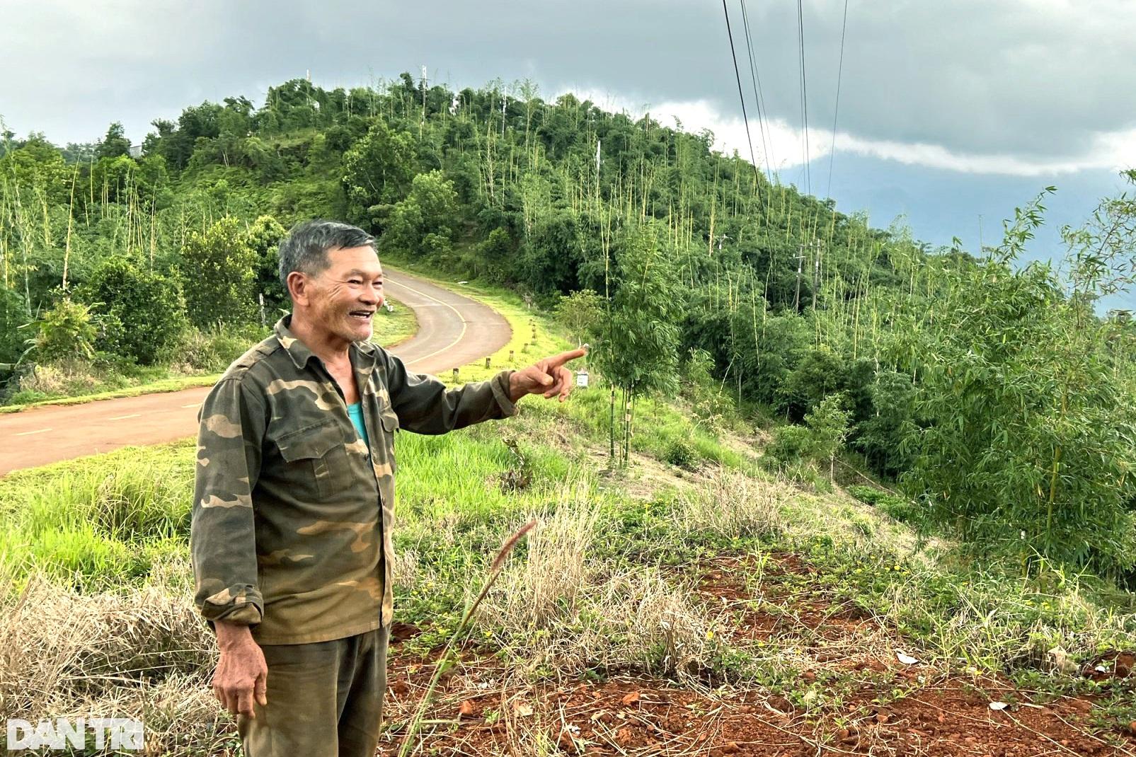 Nhờ vườn cây "trăm đốt" độc nhất vô nhị, vợ chồng lão nông cao nguyên tiền tỷ mỗi tháng - Ảnh 1.