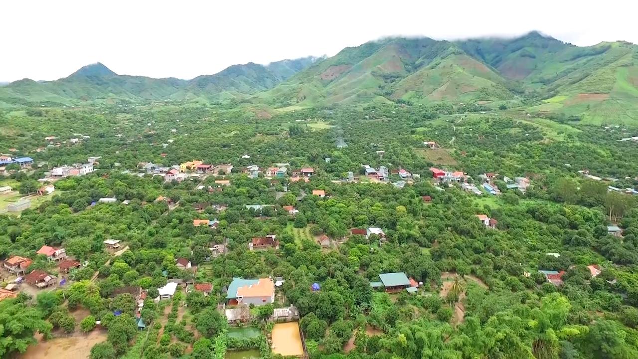 Sản xuất long nhãn sấy khô, nông dân vùng cao biên giới Sông Mã thu bội tiền - Ảnh 9.