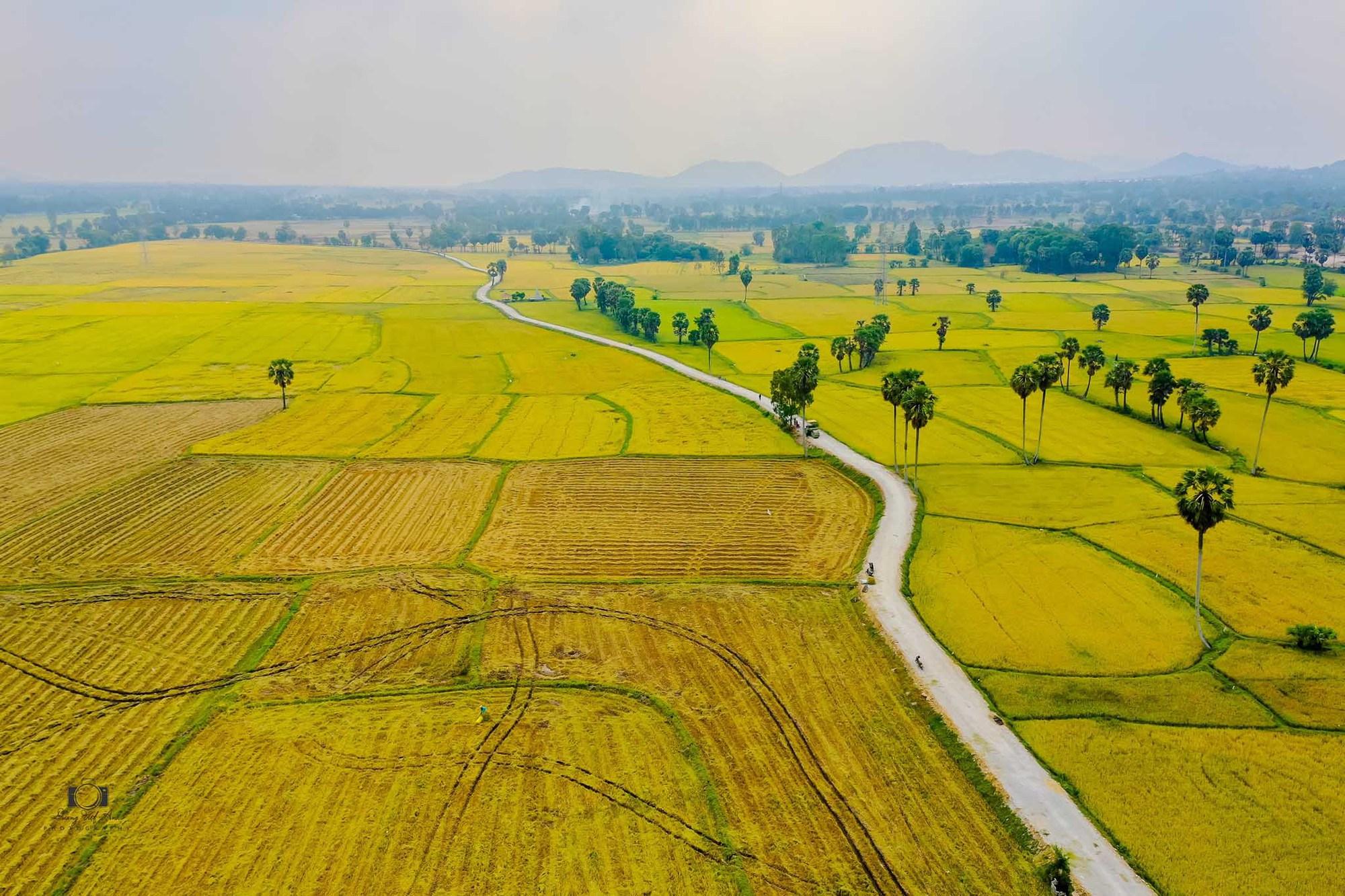 Cánh đồng Văn Giáo đẹp như cổ tích mùa lúa chín - Ảnh 10.