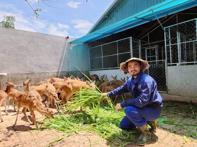 Hà Tĩnh: Trở thành ông chủ nhờ nuôi hươu