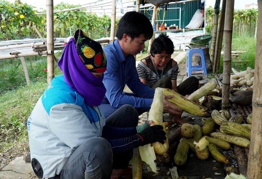 Người biến xơ mướp thành đồ gia dụng, xuất đi Tây thu về tiền tỷ - Ảnh 3.