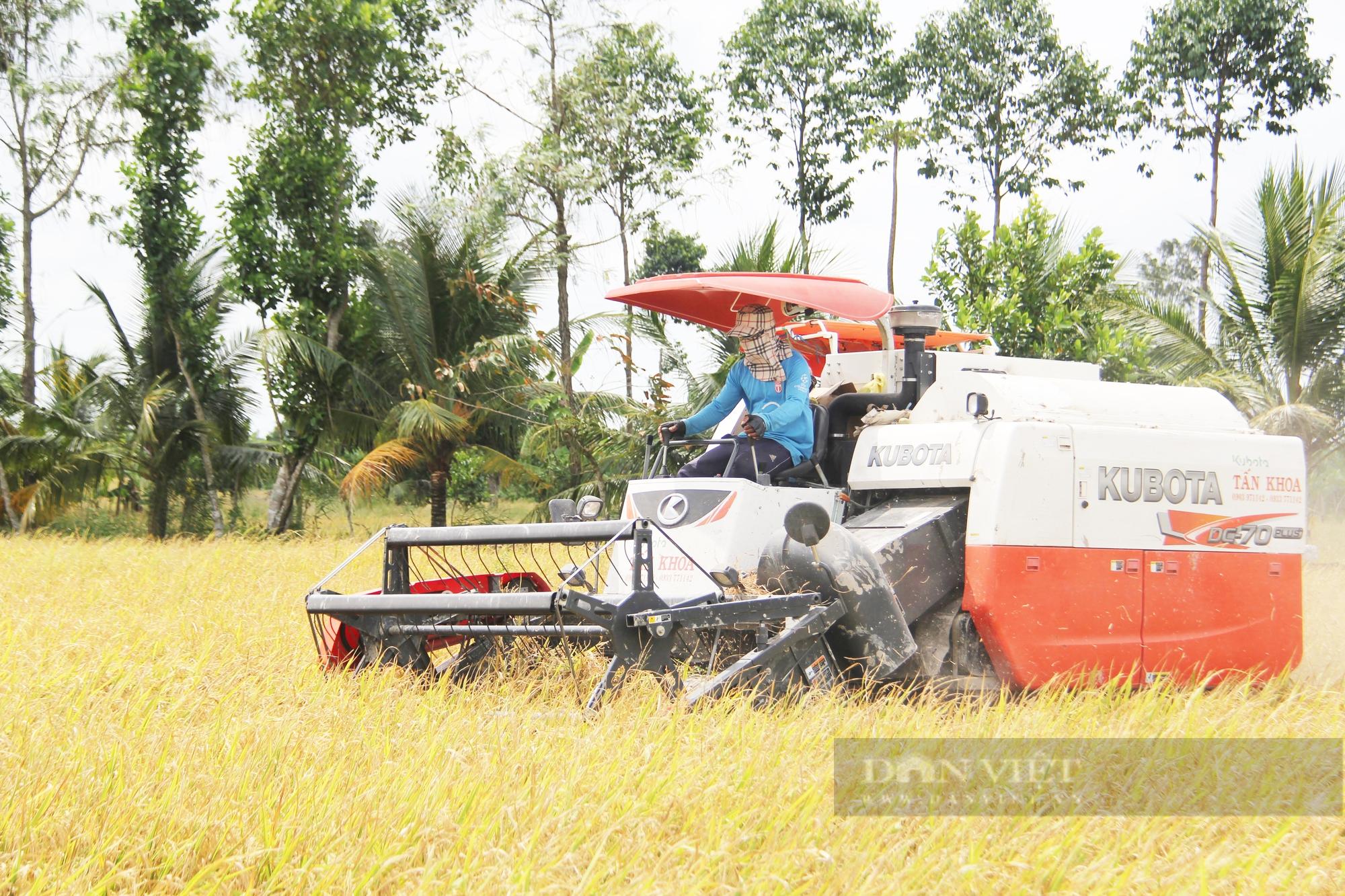 Giữ hay giảm diện tích đất lúa ĐBSCL (Bài 6): Giữ đất lúa mà nông dân vẫn nghèo thì có nên không? - Ảnh 2.