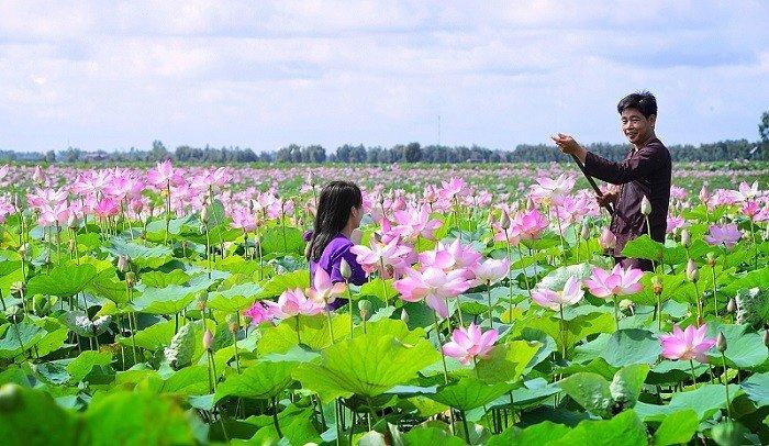 Đưa "giấc mơ" sen Đồng Tháp đi xa hơn: Không chỉ bán sản phẩm mà bán cả câu chuyện - Ảnh 1.