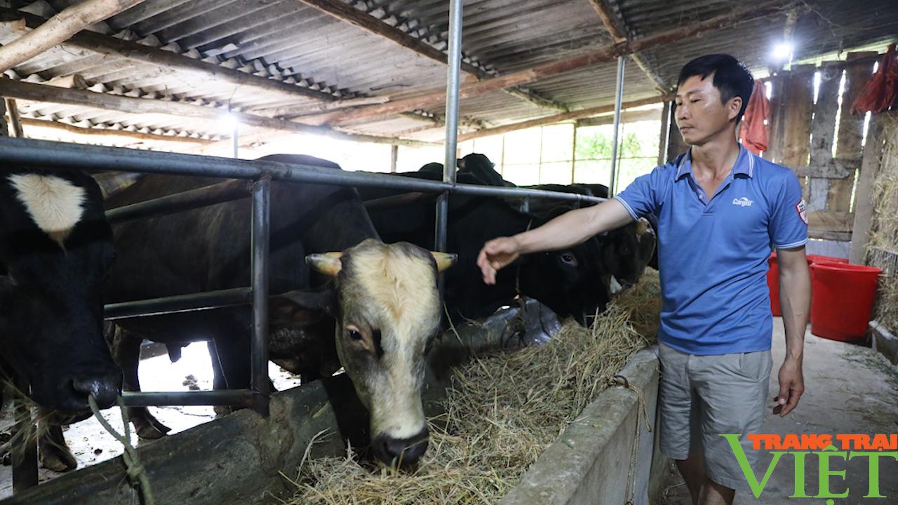 Phù Yên: Đồng hành cùng nông dân phát triển kinh tế - Ảnh 4.