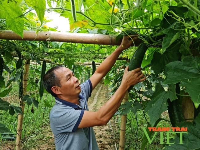 Hội Nông dân tỉnh Điện Biên:  Chú trọng công tác đào tạo nghề giúp hội viên phát triển kinh tế   - Ảnh 4.