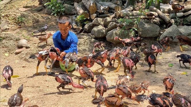 Chàng trai 'nấm lùn' khởi nghiệp bằng chăn nuôi - Ảnh 1.