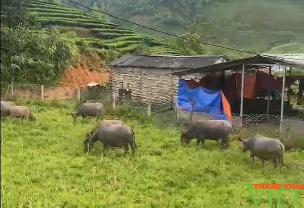 Lên vùng cao Lai Châu xem bà con Phúc Khoa làm nông thôn mới nâng cao - Ảnh 7.