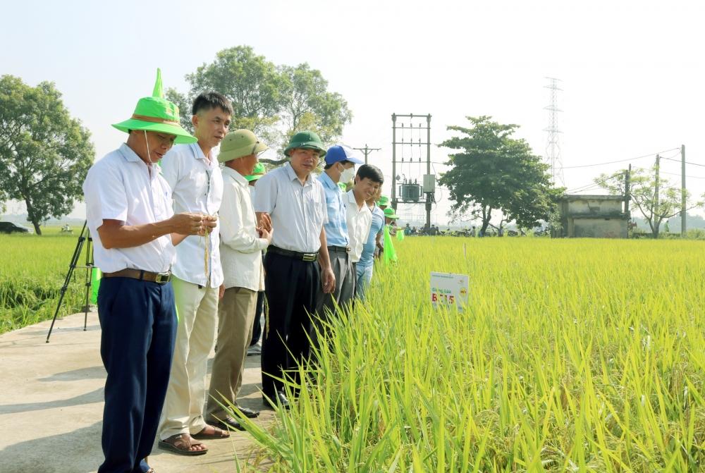 “Bệ phóng” xây dựng chuỗi nông sản sạch, bền vững