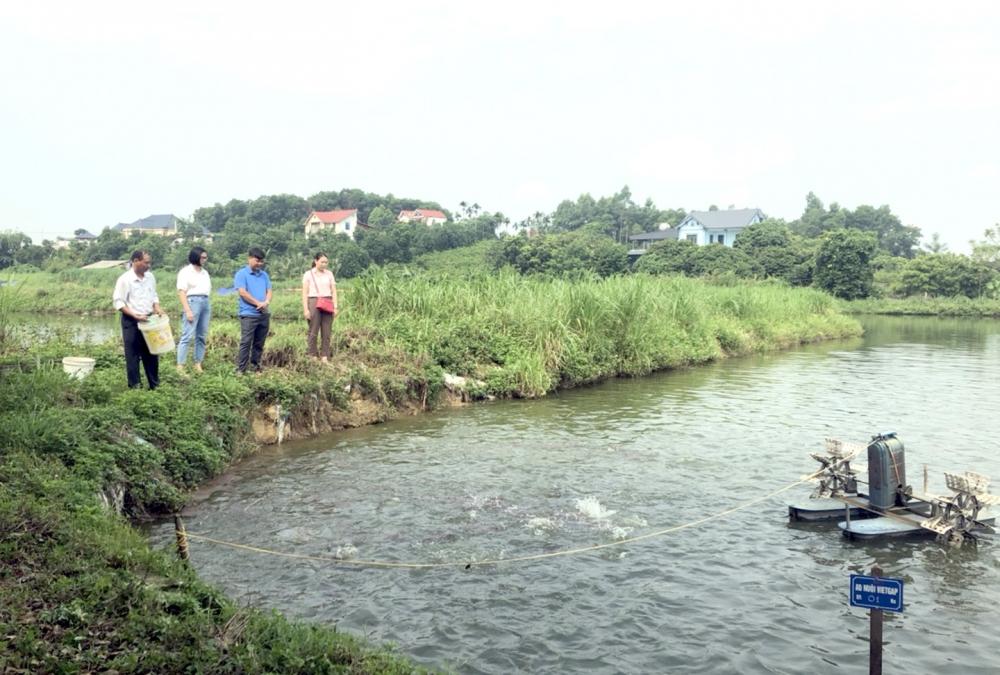 “Bệ phóng” xây dựng chuỗi nông sản sạch, bền vững