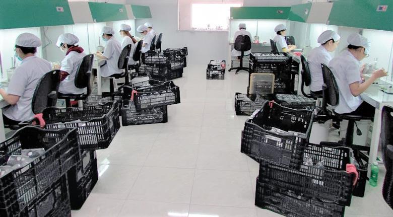 Công nghệ cấy mô thực vật ở Lâm Đồng đã tạo ra cây giống sạch bệnh có tính đồng nhất và ổn định về năng suất, chất lượng