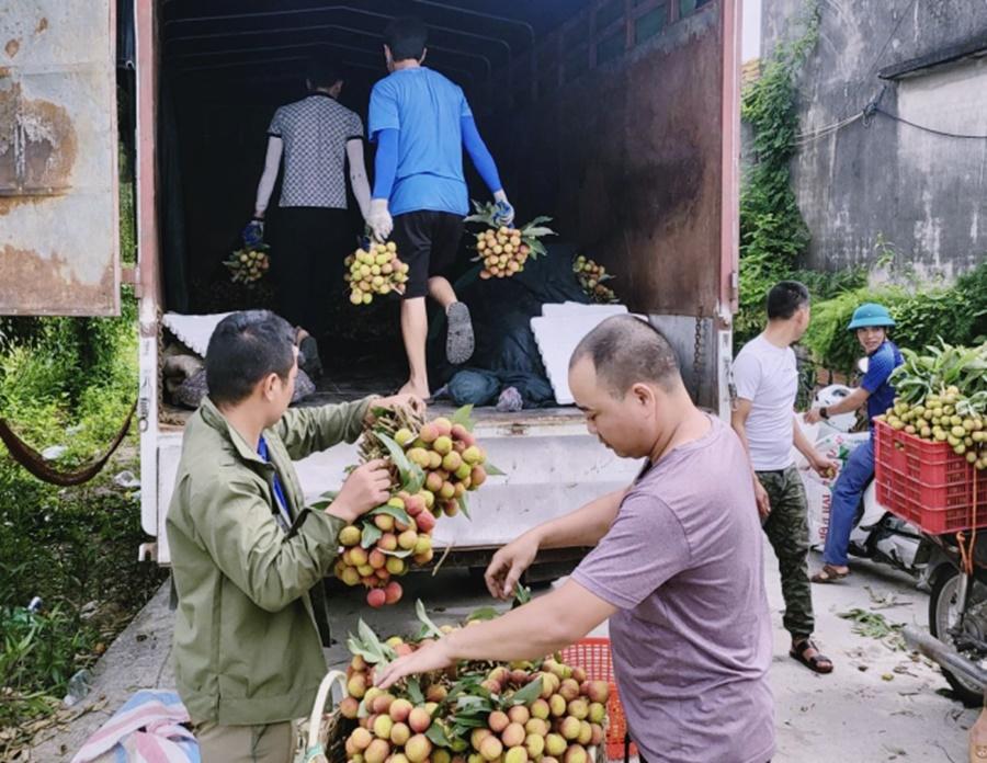 Có mã số vùng trồng, nông sản được nâng tầm giá trị - Ảnh 1.