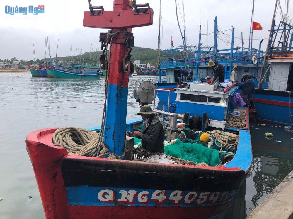 Cần có cơ chế ưu đãi đặc biệt cho ngư dân và các hợp tác xã, tổ hợp tác dịch vụ khai thác xa bờ nhằm góp phần thúc đẩy phát triển ngành thủy sản.