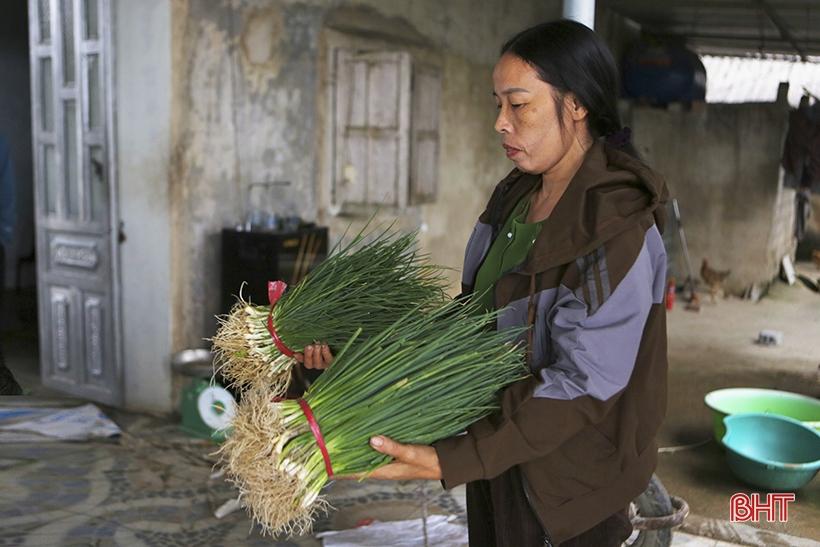 Hà Tĩnh: Giá hành lá tăng 3 - 4 lần, nông dân “người vui, kẻ tiếc” - Ảnh 4.