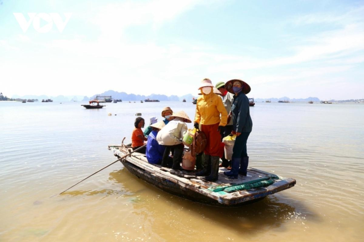 Miệt mài đánh hà, bắt ốc trên vịnh Hạ Long kiếm tiền trăm mỗi ngày - Ảnh 1.