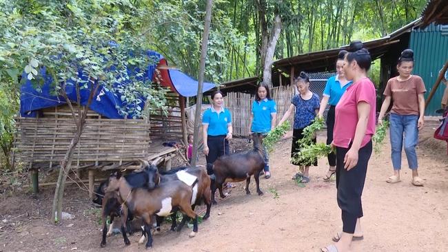 Vùng cao Yên Châu, trái ngọt thay mùa quả đắng  - Ảnh 4.