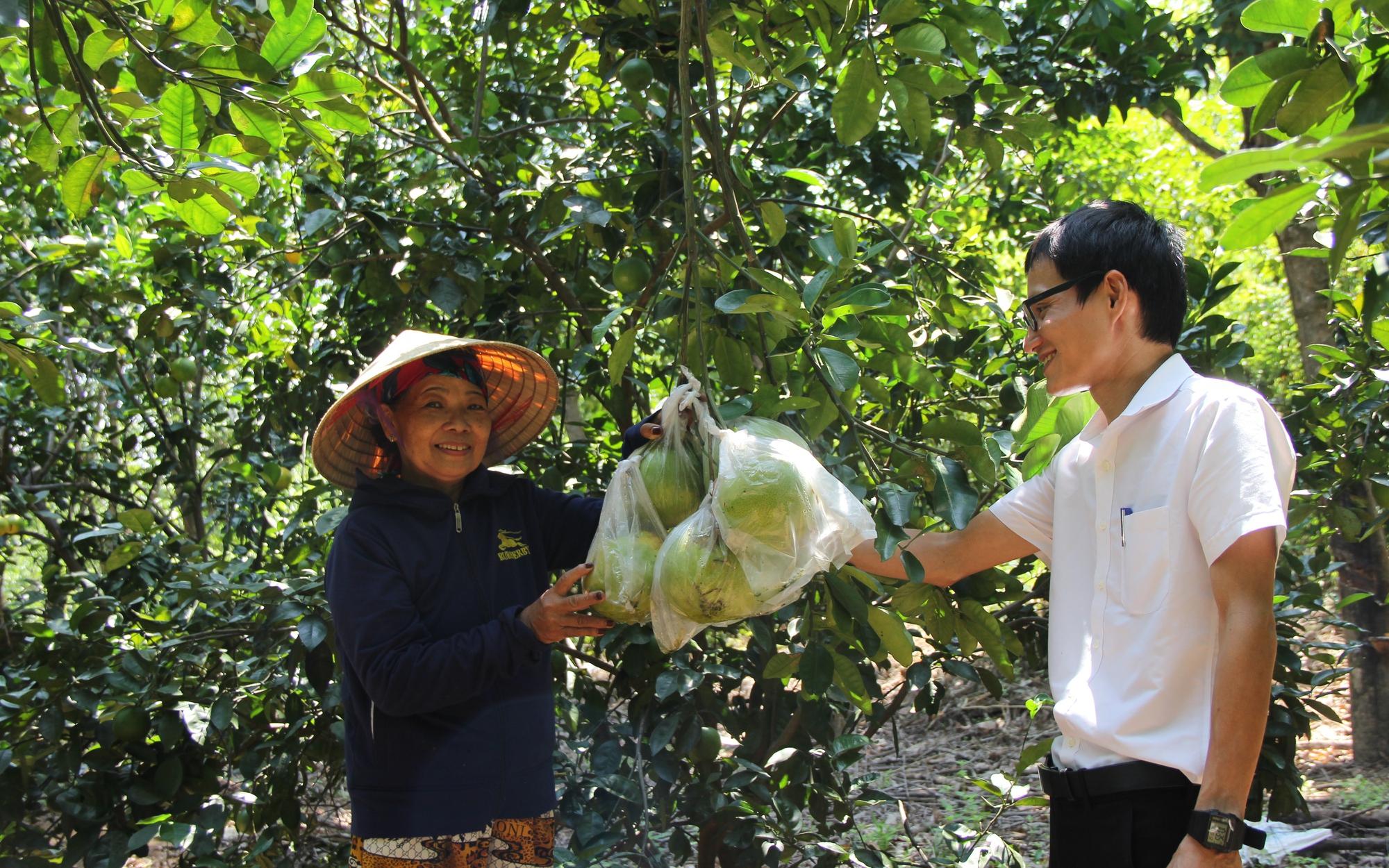 Nuôi lợn, làm trang trại tổng hợp giúp nông dân Cam Lộ  thoát nghèo, có hộ vươn lên thành tỷ phú