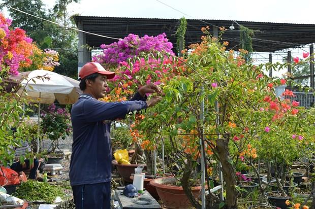 Dong Thap cong nhan Lang nghe hoa giay ap Tan Thuan A - Tan Thuan B hinh anh 1
