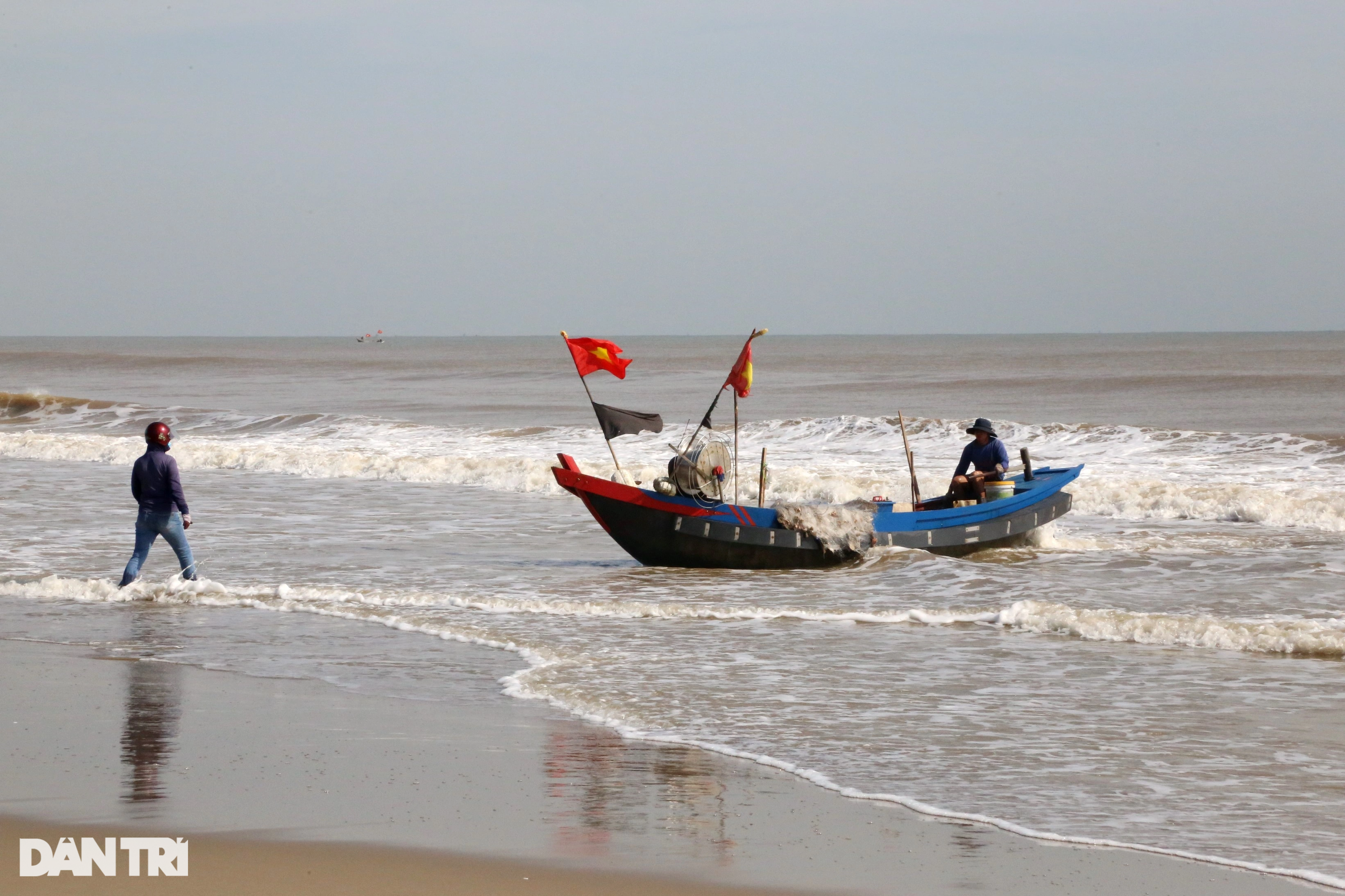 Loài cá từng bỏ đi nay thành đặc sản, thương lái tranh nhau mua - Ảnh 1.