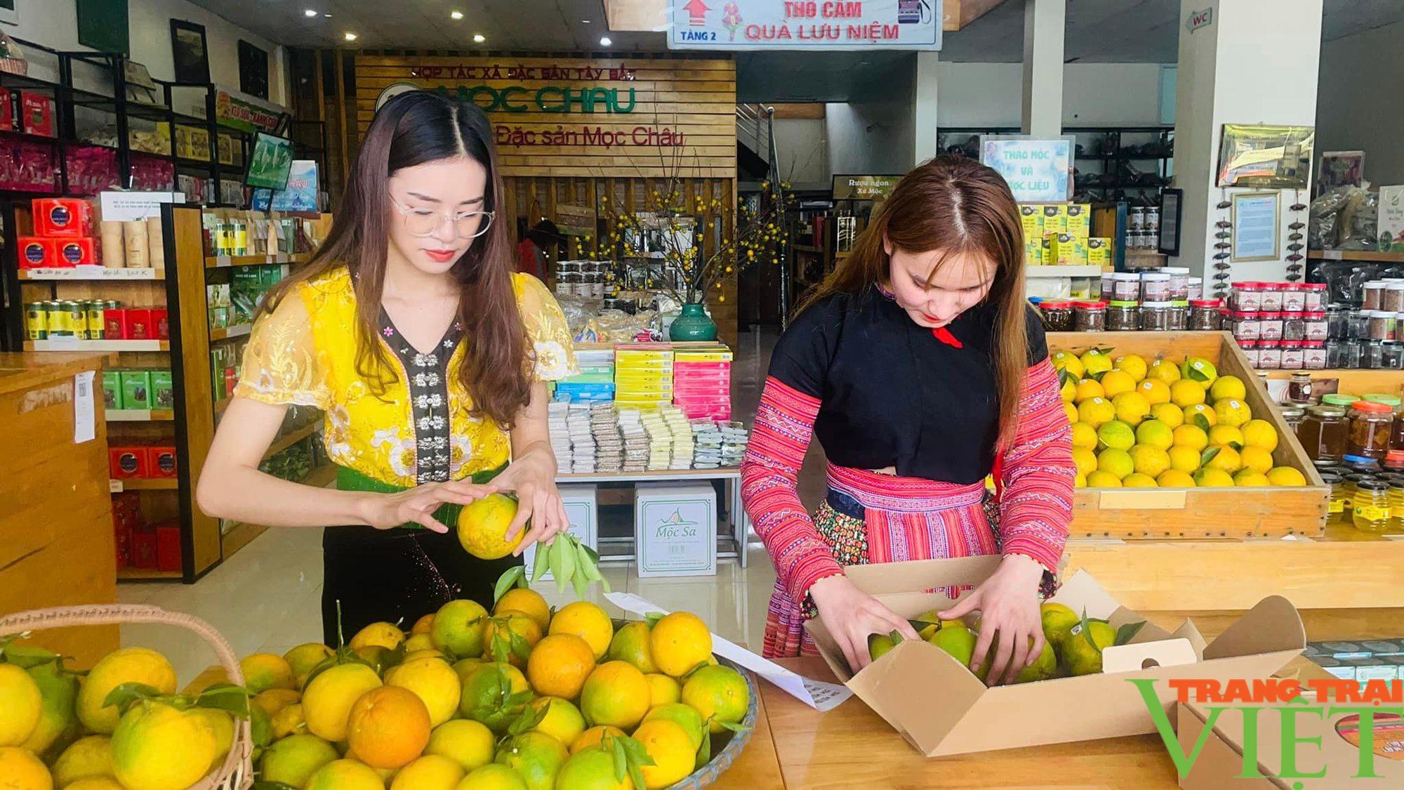 Vườn cam Ly đẹp như tranh vẽ ở cao nguyên Mộc Châu  - Ảnh 5.