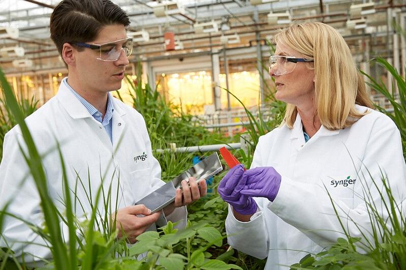 Syngenta được trao tặng 5 giải thưởng về khoa học cây trồng - Ảnh 1.