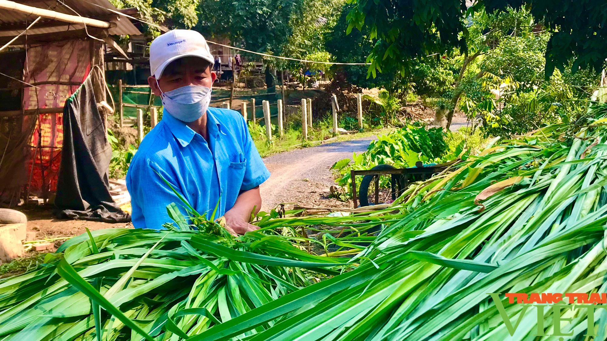 Mường La: Khởi sắc từ xây dựng nông thôn mới - Ảnh 10.