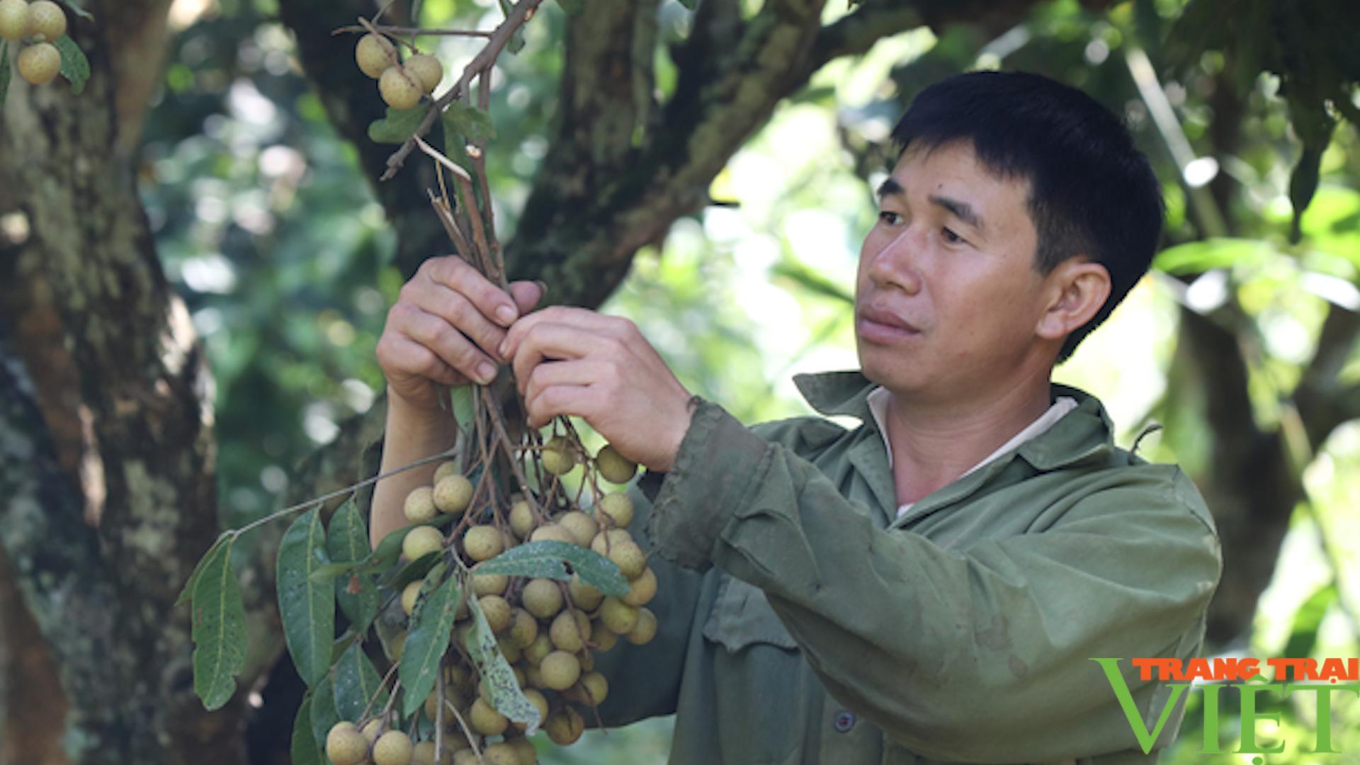 Mường La: Khởi sắc từ xây dựng nông thôn mới - Ảnh 8.