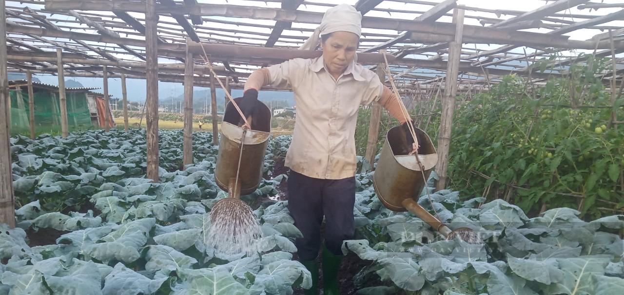 Nông dân Phù Yên (Sơn La) "bám đất, bám rộng" làm giàu - Ảnh 4.