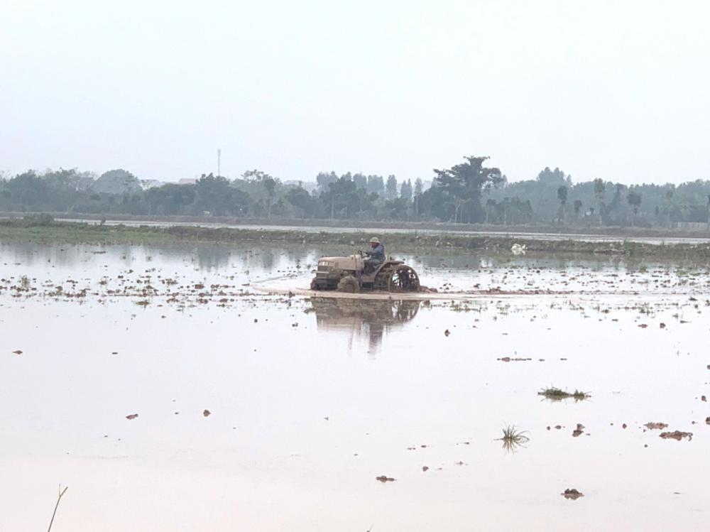 Nông dân huyện Mê Linh tích cực xuống đồng sản xuất đầu năm