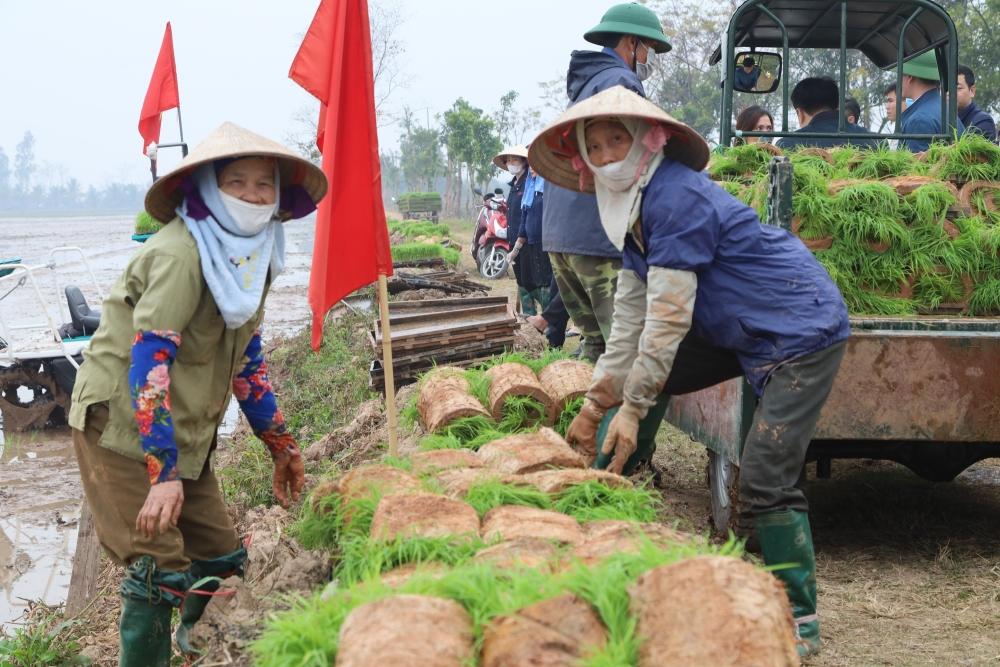 Nông dân huyện Mê Linh tích cực xuống đồng sản xuất đầu năm