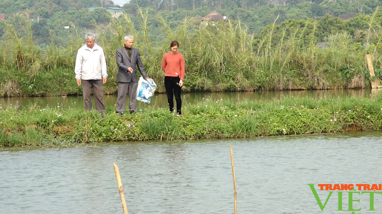 Đào ao thả cá, trồng cây ăn quả, lão nông cao nguyên lãi đậm - Ảnh 4.