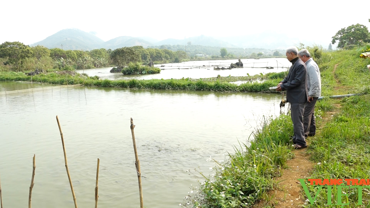 Đào ao thả cá, trồng cây ăn quả, lão nông cao nguyên lãi đậm - Ảnh 10.