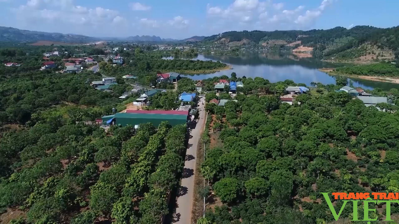 Đào ao thả cá, trồng cây ăn quả, lão nông cao nguyên lãi đậm - Ảnh 2.