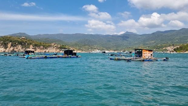 Ninh Thuan khai thac tiem nang, phat trien nghe nuoi bien ben vung hinh anh 1