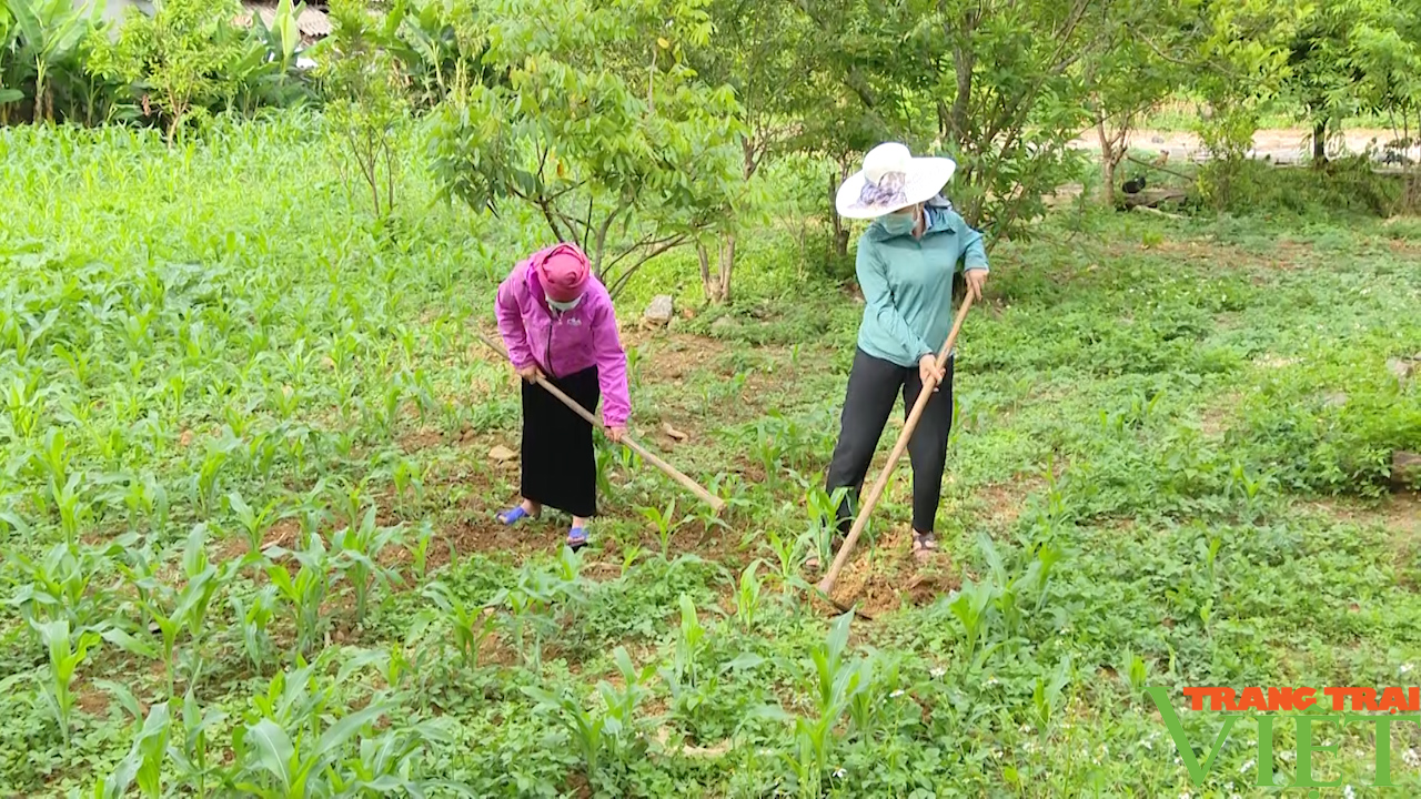 Đồng hành cùng hội viên phụ nữ làm kinh tế - Ảnh 6.