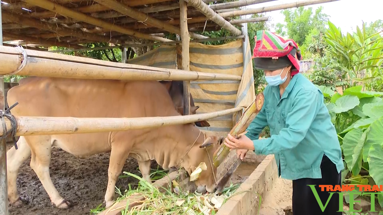 Đồng hành cùng hội viên phụ nữ làm kinh tế - Ảnh 4.