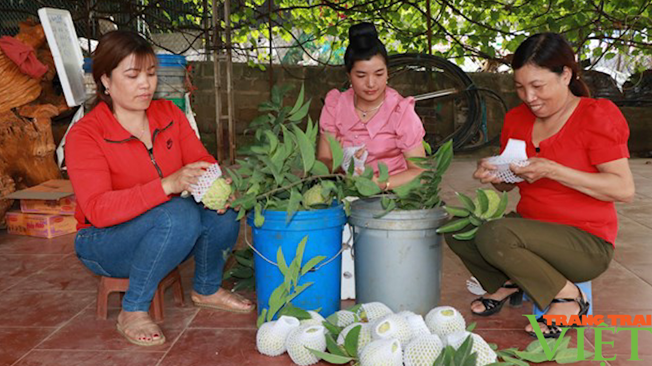 Đồng hành cùng hội viên phụ nữ làm kinh tế - Ảnh 5.