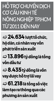 “Bệ phóng” giúp nông nghiệp đô thị tăng tốc - Ảnh 2.