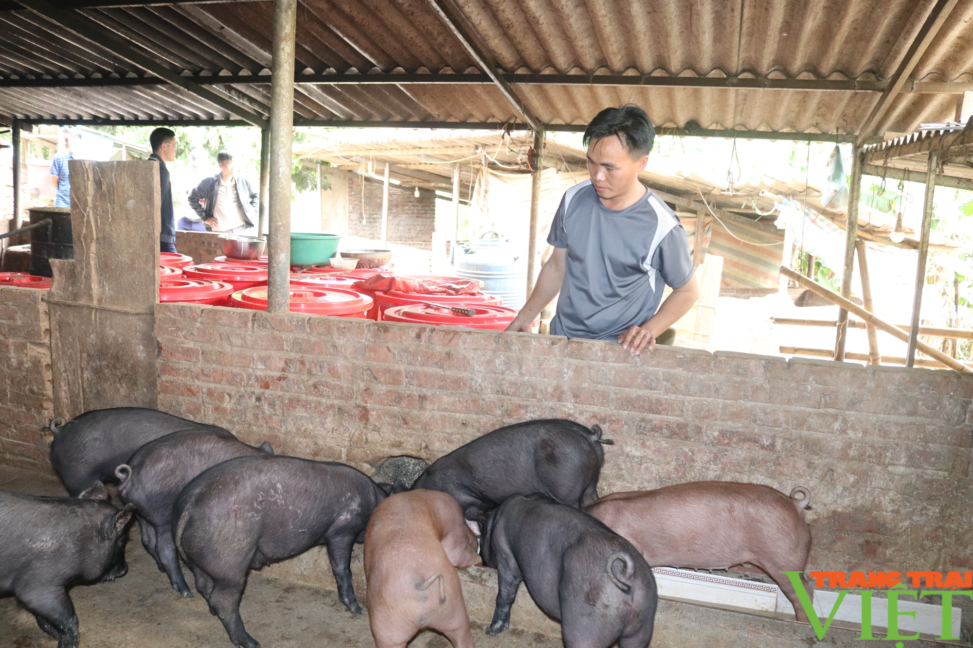 Chàng trai người Mông Bắc Yên làm kinh tế giỏi - Ảnh 1.