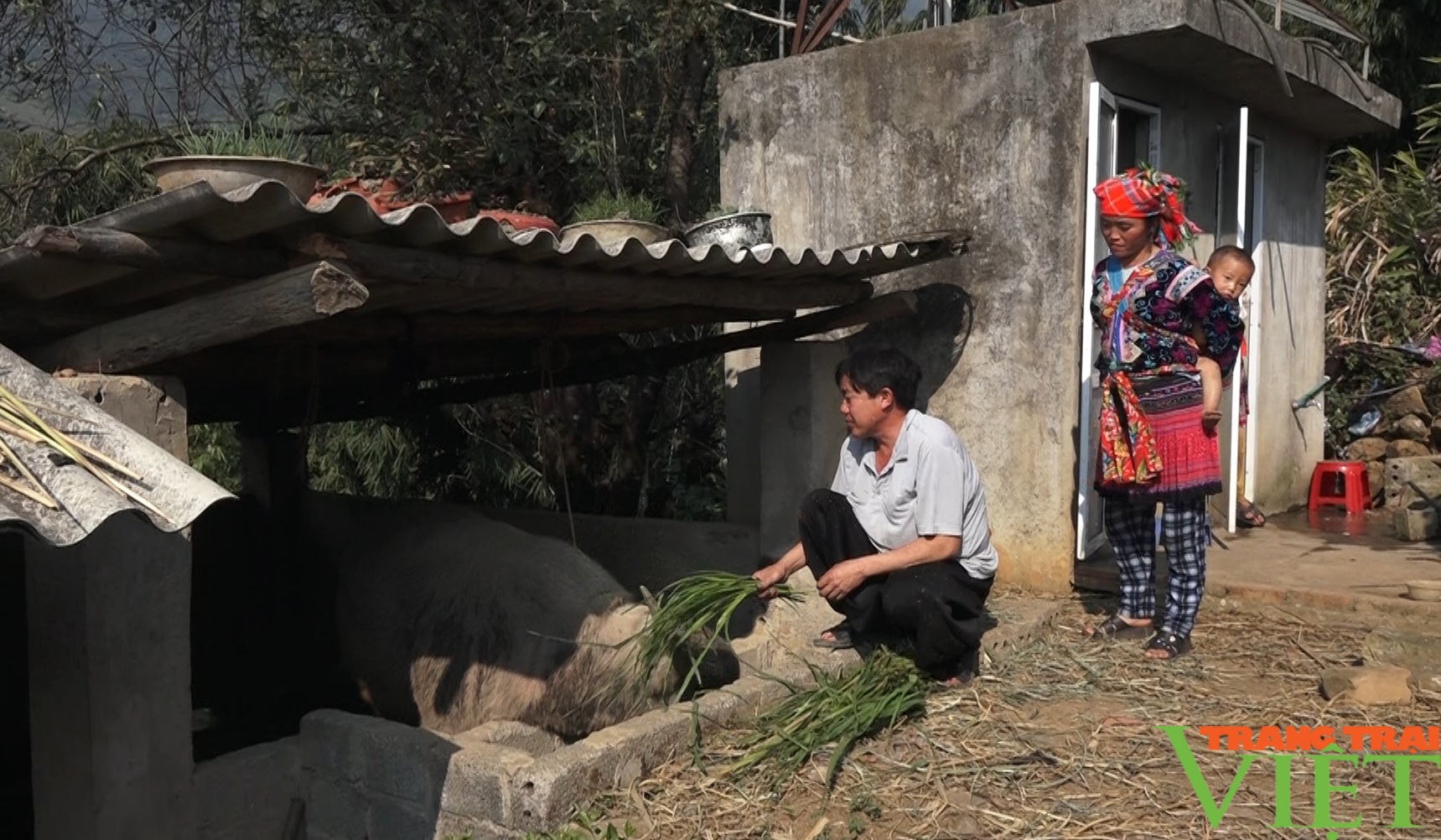 Về Giang Ma xem bà con phòng chống dịch bệnh cho đàn gia súc - Ảnh 4.