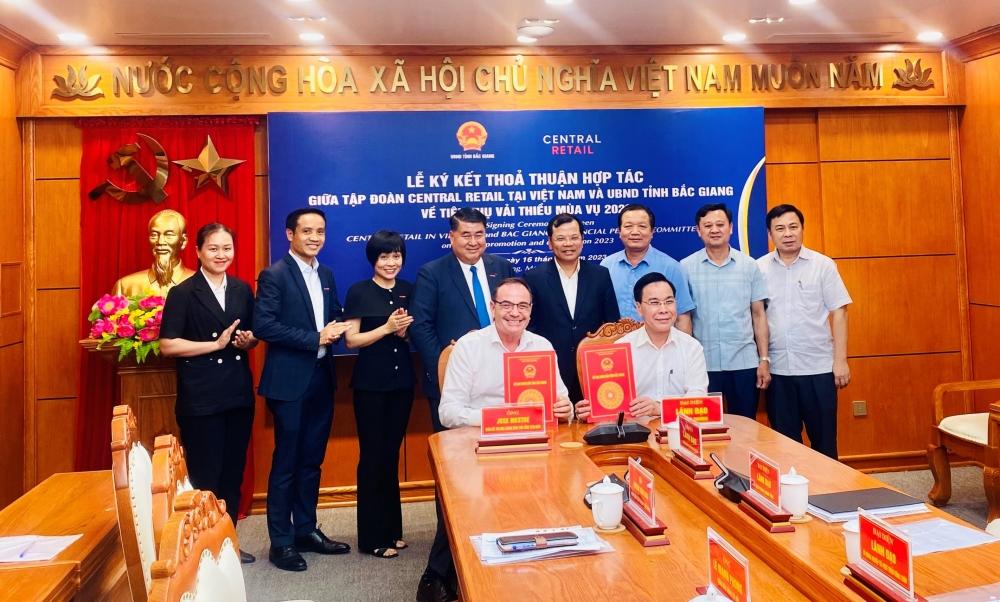 Hợp tác tiêu thụ vải thiều mùa vụ 2023