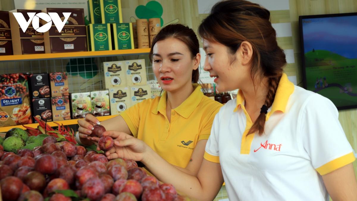 Mận hậu trái vụ được “săn đón” nhờ ứng dụng khoa học vào sản xuất - Ảnh 1.