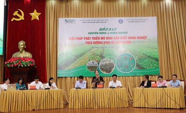 Bac Ninh phat trien san xuat nong nghiep theo huong kinh te tuan hoan hinh anh 1