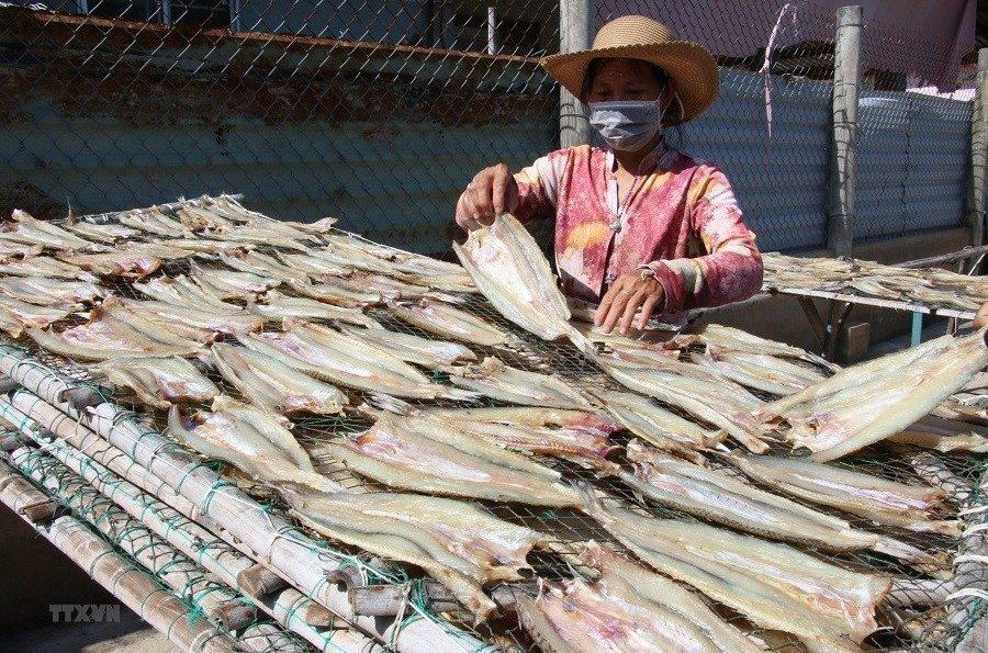 Cá khô, cá hộp trở thành "ngôi sao sáng" trong xuất khẩu - Ảnh 1.