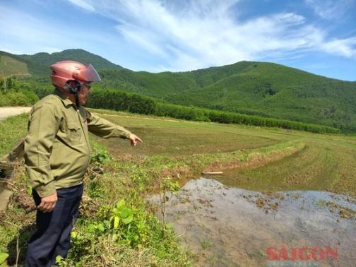 Nông dân Quảng Ngãi “căng mình” chống hạn  ảnh 5