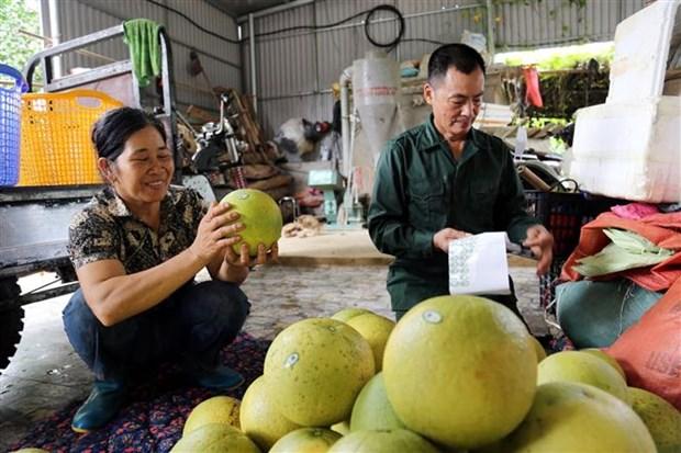 Tuyen Quang phat trien cac loai cay an qua chu luc, dac san hinh anh 1