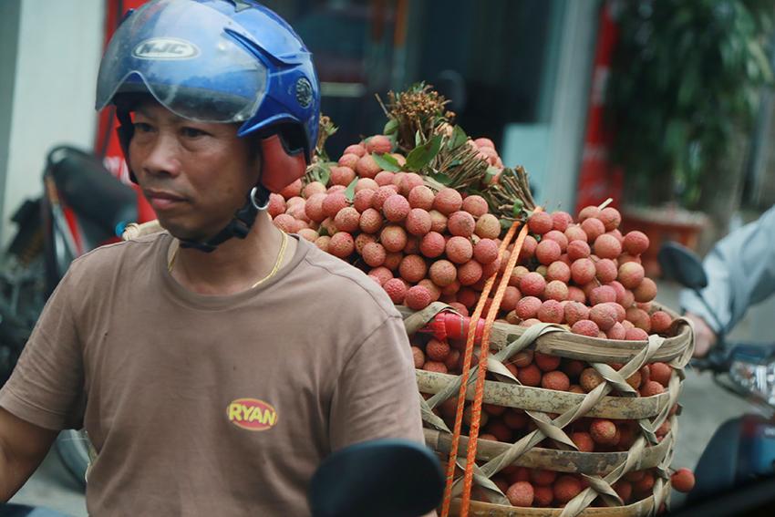 Vải thiều Thanh Hà vừa mất mùa vừa mất giá, nông dân xót xa bán buôn 15 nghìn đồng/kg - Ảnh 4.