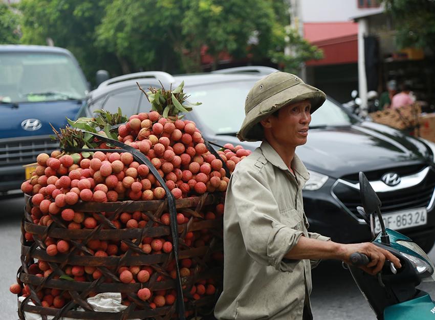 Vải thiều Thanh Hà vừa mất mùa vừa mất giá, nông dân xót xa bán buôn 15 nghìn đồng/kg - Ảnh 5.